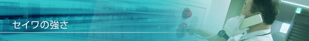 セイワの強さ