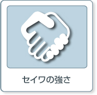 セイワの強さ